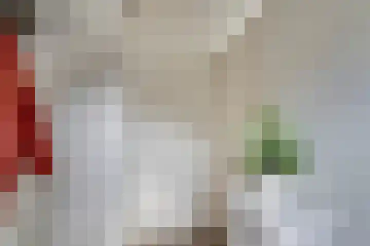 Zeester 70 Katwijk thumbnail 8