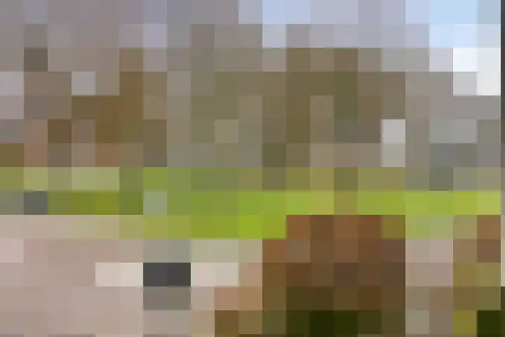 Zeestraat 4 Blankenham thumbnail 35