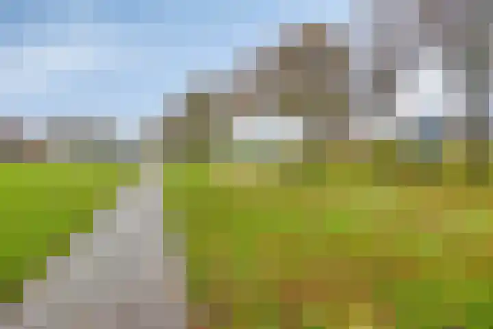 Zeestraat 4 Blankenham thumbnail 39