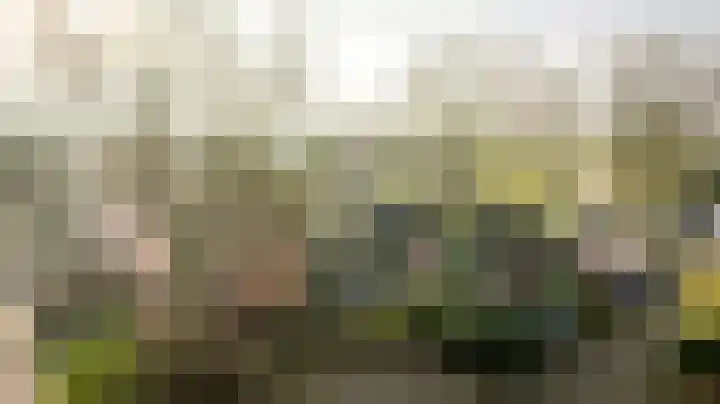 Zeestraat 4 Blankenham thumbnail 47