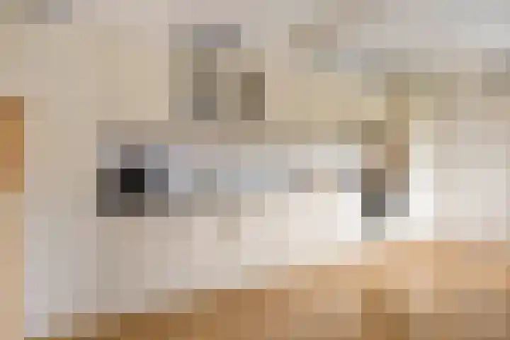 Zeestraat 4 Blankenham thumbnail 8