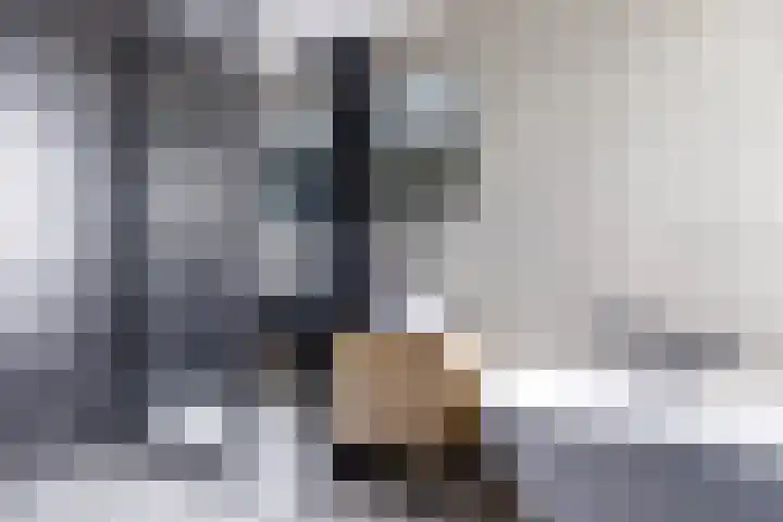 Zeestraat 8 Monster thumbnail 11