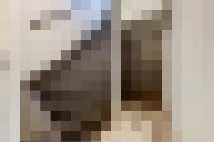 Zeestraat 8 Monster thumbnail 21