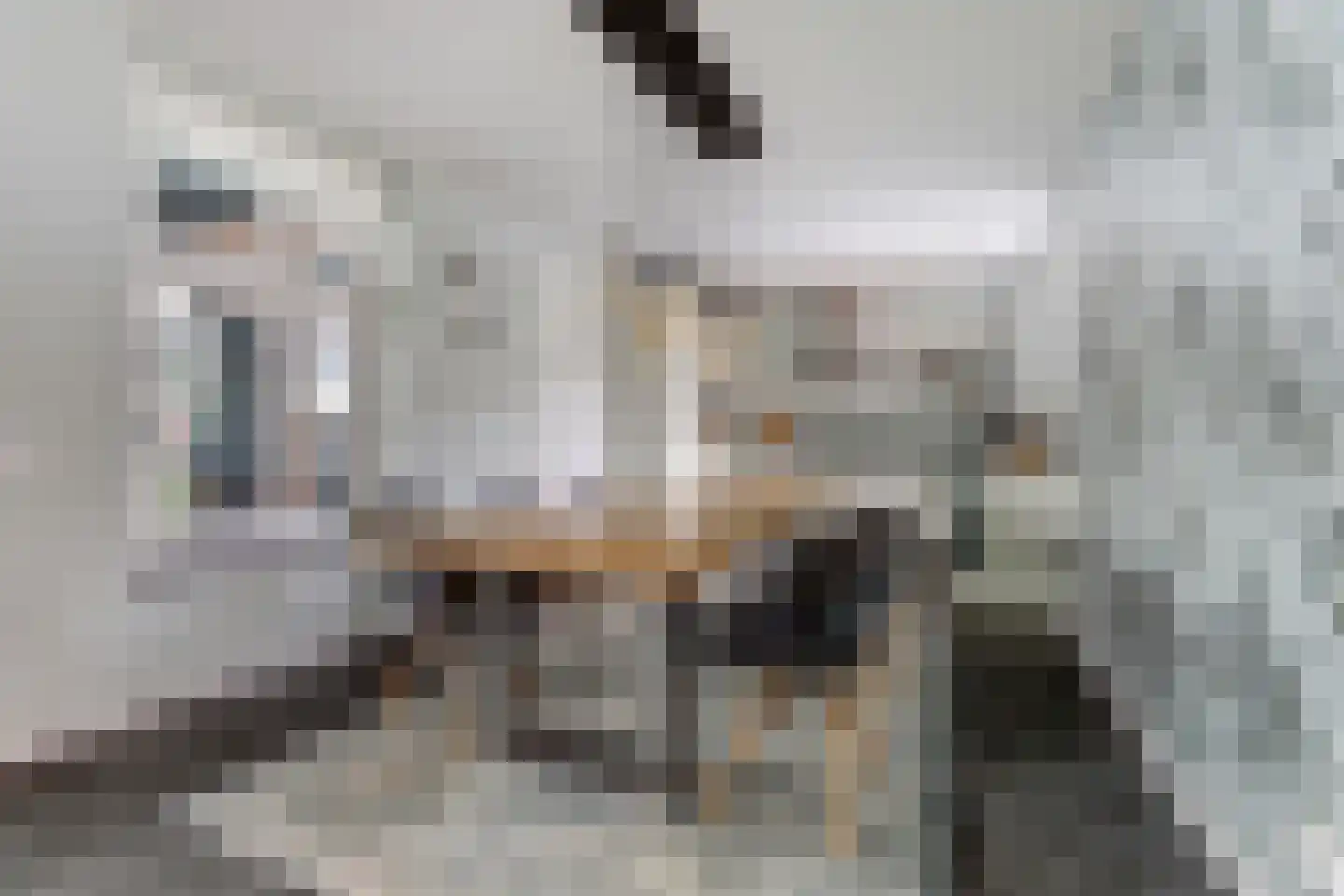 Zeeuwendonk 9 Helmond thumbnail 13