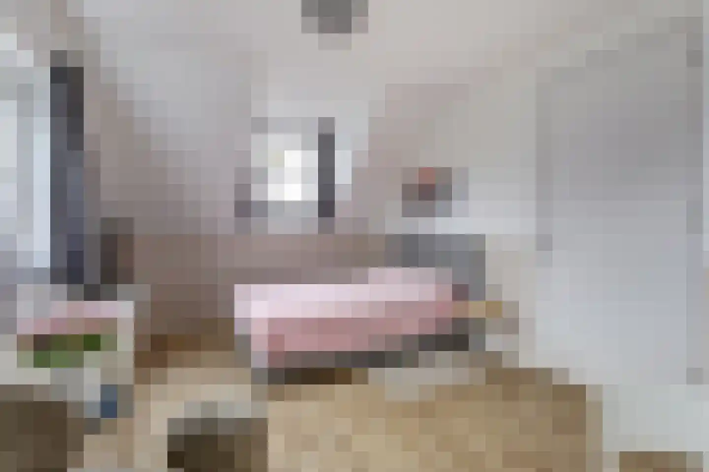 Zeeuwendonk 9 Helmond thumbnail 16