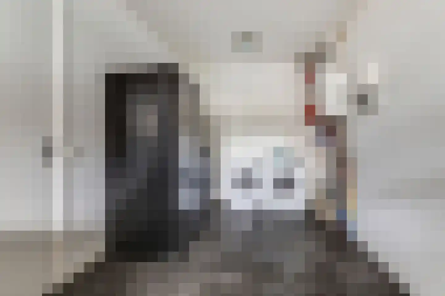 Zeeuwendonk 9 Helmond thumbnail 29