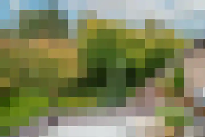 Zeeweg 215 Heiloo thumbnail 23