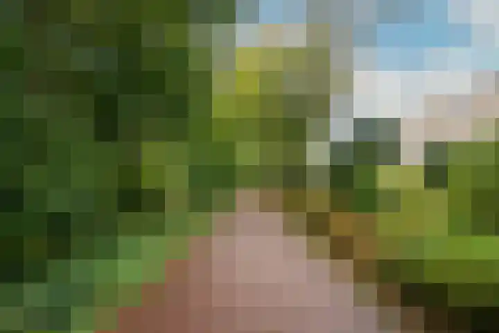 Zeeweg 215 Heiloo thumbnail 26