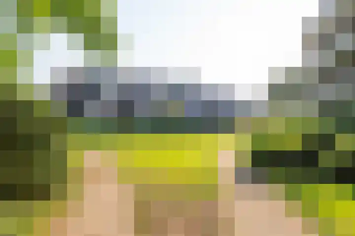 Zeeweg 232 Heiloo thumbnail 31