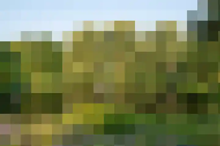 Zeeweg 232 Heiloo thumbnail 33