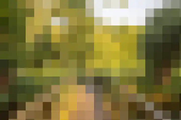 Zeeweg 232 Heiloo thumbnail 34