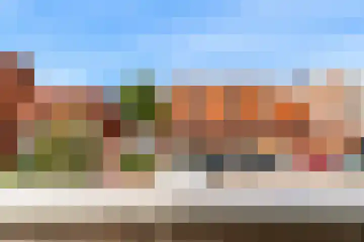 Zeeweg 28 IJmuiden thumbnail 17