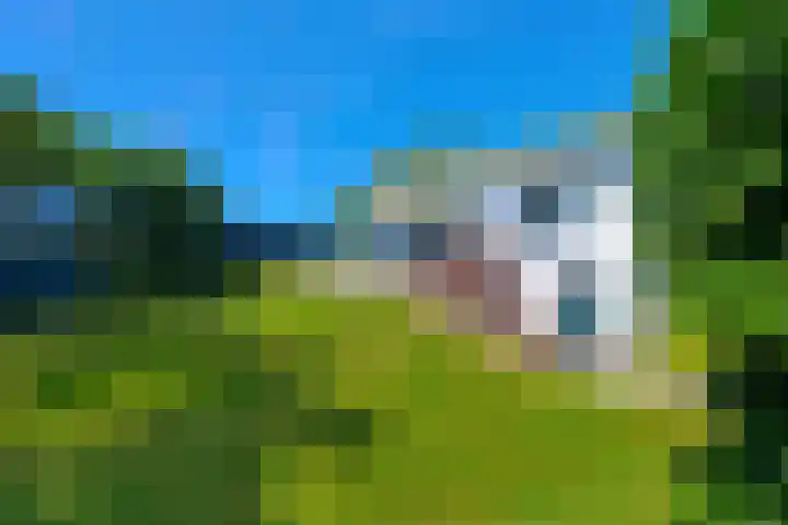 Zeeweg 32 Callantsoog thumbnail 5