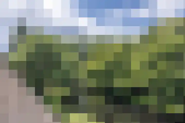 Zeeweg 330 Heiloo thumbnail 5