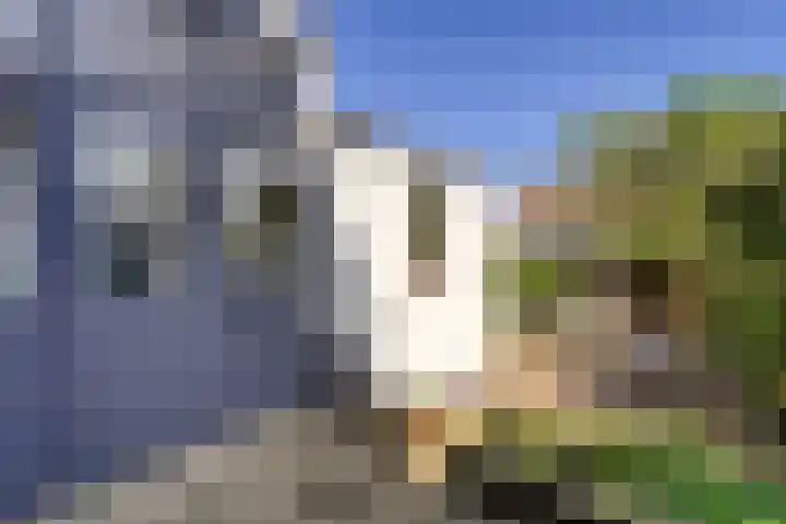 Zeeweg 60 Katwijk thumbnail 35
