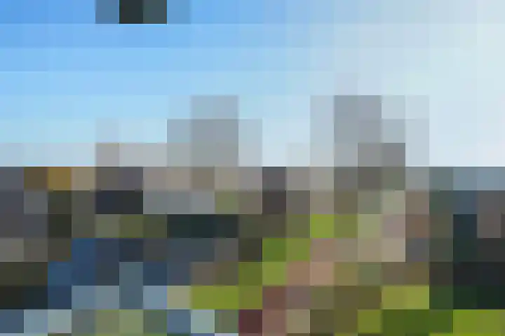 Zeewinde 22 Naaldwijk thumbnail 15