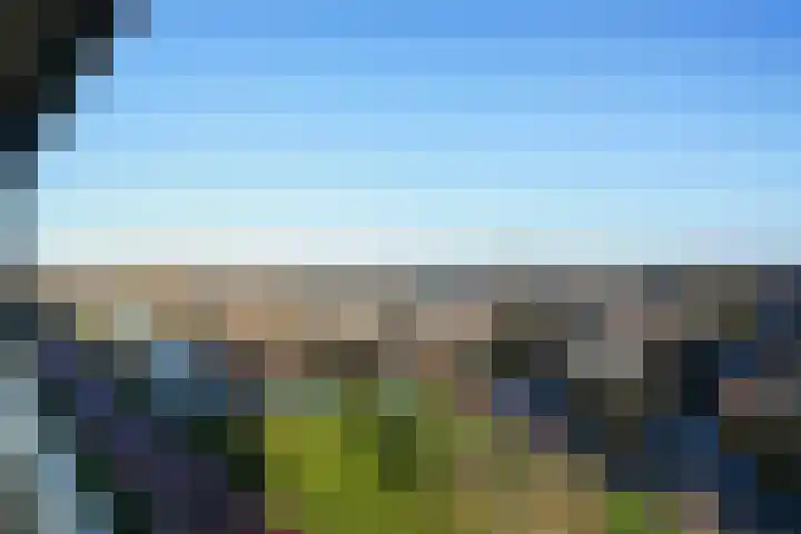 Zeewinde 22 Naaldwijk thumbnail 16