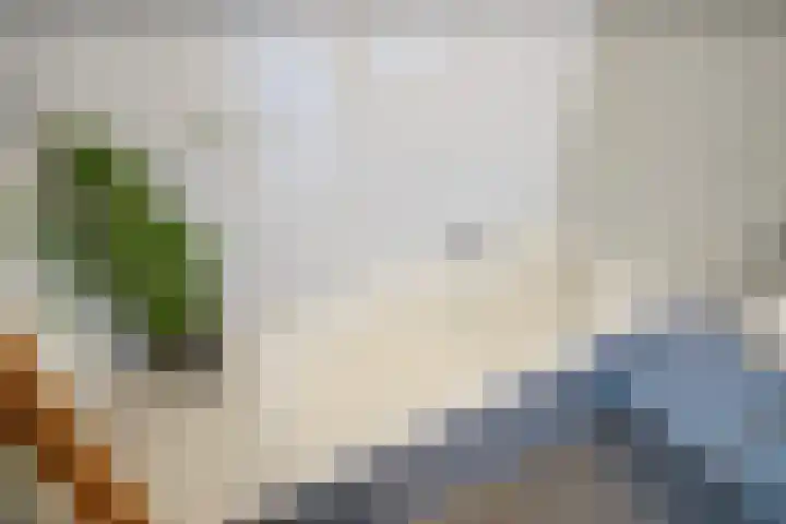 Zeewinde 22 Naaldwijk thumbnail 26