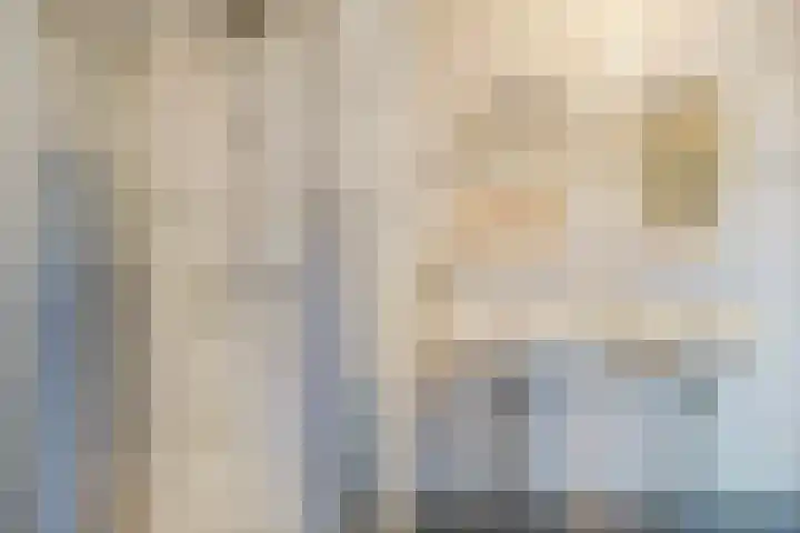 Zeewinde 22 Naaldwijk thumbnail 27