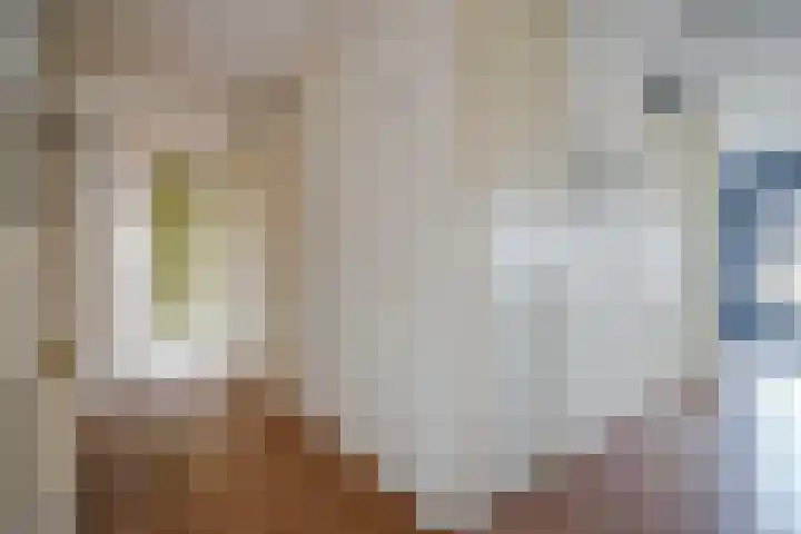 Zeewinde 22 Naaldwijk thumbnail 33