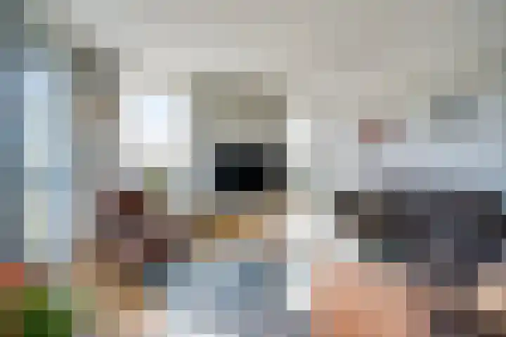 Zeewinde 22 Naaldwijk thumbnail 6