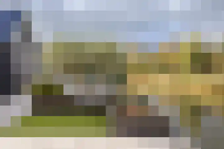 Zeewolf 29 Schagen thumbnail 25