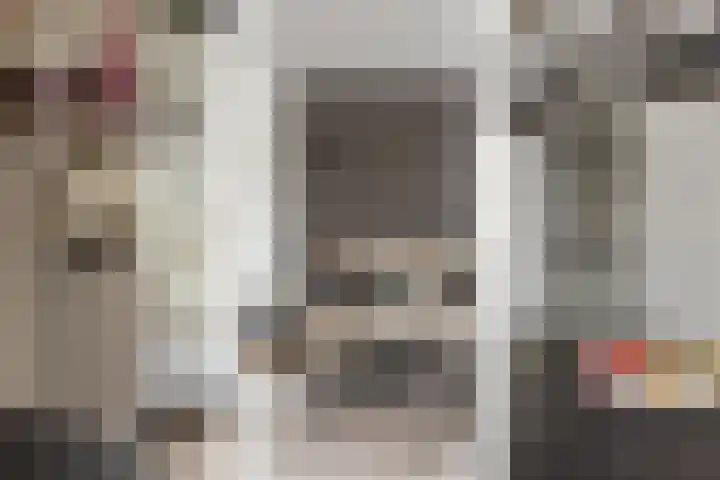 Zeewolf 29 Schagen thumbnail 6