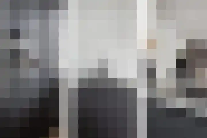 Zeewolf 29 Schagen thumbnail 9