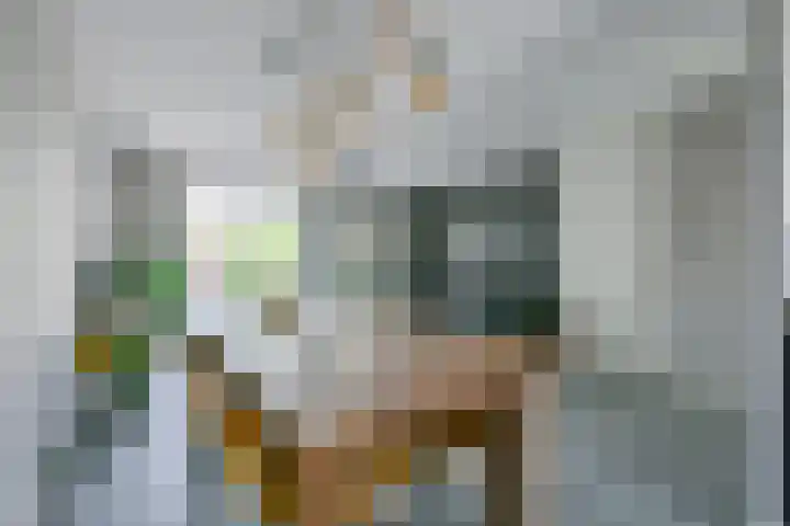Zeewolf 37 Schagen thumbnail 13