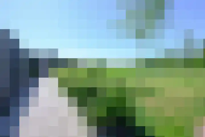 Zeewolf 37 Schagen thumbnail 16