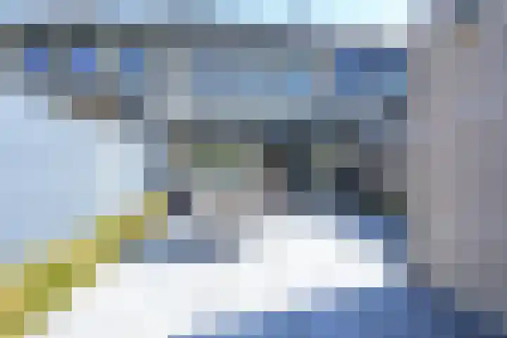 Zeewolf 37 Schagen thumbnail 18