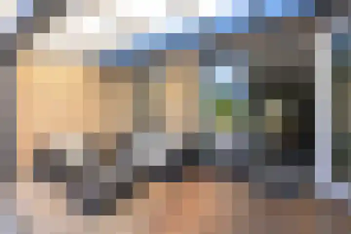 Zeewolf 37 Schagen thumbnail 19