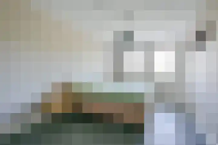 Zeewolf 37 Schagen thumbnail 21