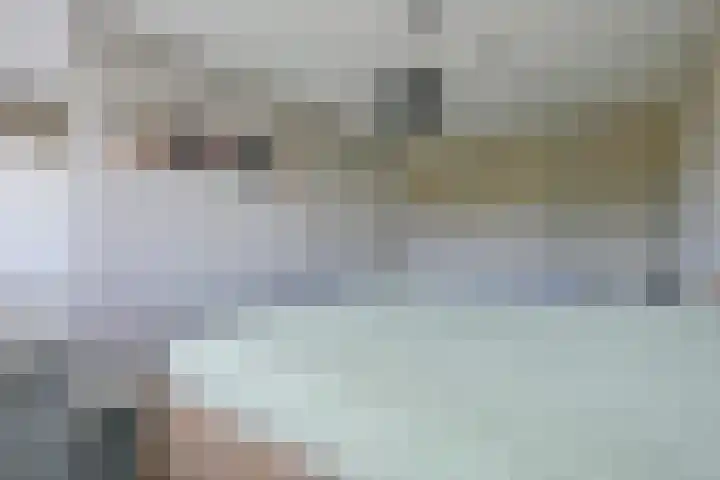 Zeewolf 37 Schagen thumbnail 24