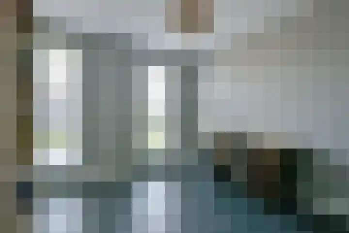 Zeewolf 37 Schagen thumbnail 25