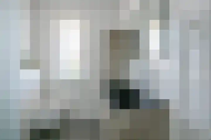 Zeewolf 37 Schagen thumbnail 27