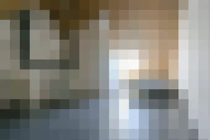 Zeewolf 37 Schagen thumbnail 31