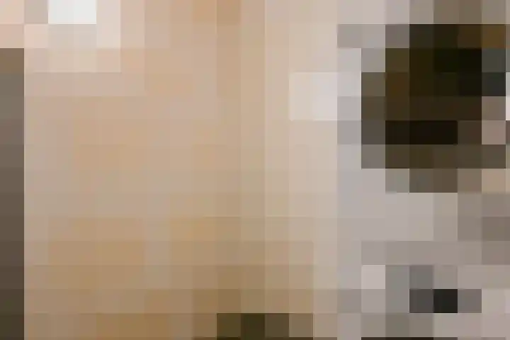 Zeewolf 37 Schagen thumbnail 32