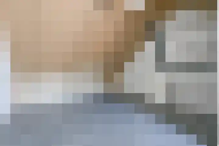 Zeewolf 37 Schagen thumbnail 33