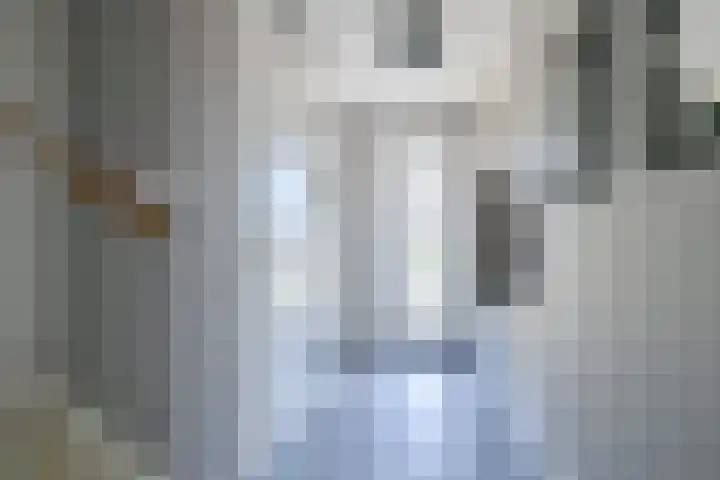 Zeewolf 37 Schagen thumbnail 34