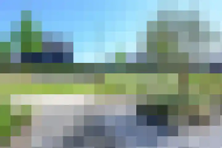 Zeewolf 37 Schagen thumbnail 35