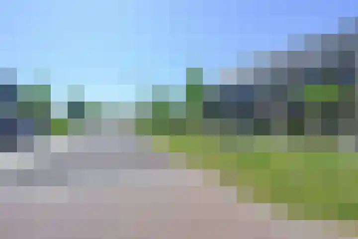 Zeewolf 37 Schagen thumbnail 36