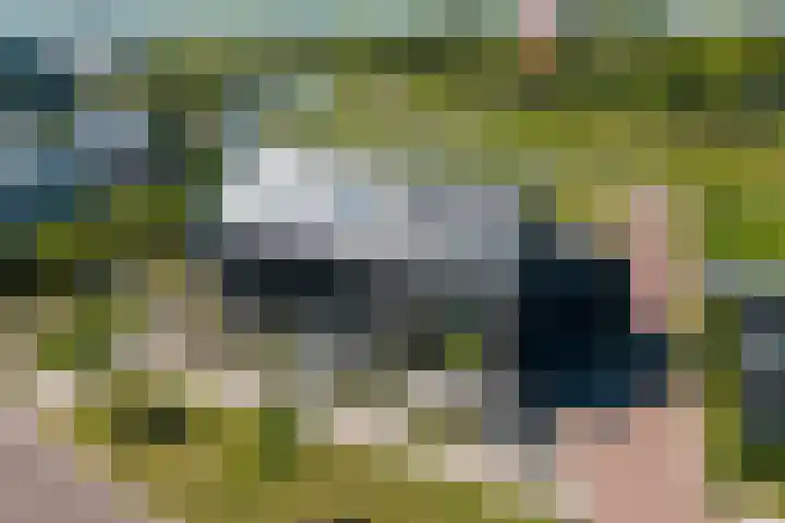 Zeewolf 37 Schagen thumbnail 4