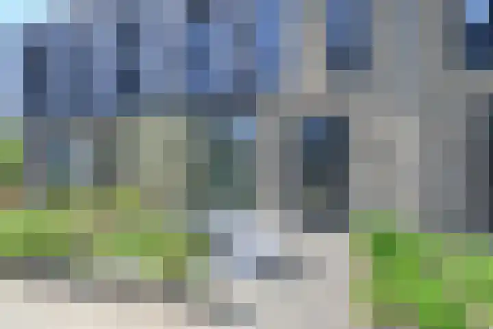 Zeewolf 37 Schagen thumbnail 5