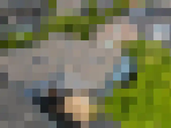 Zegerijstraat 2 Brummen thumbnail 22