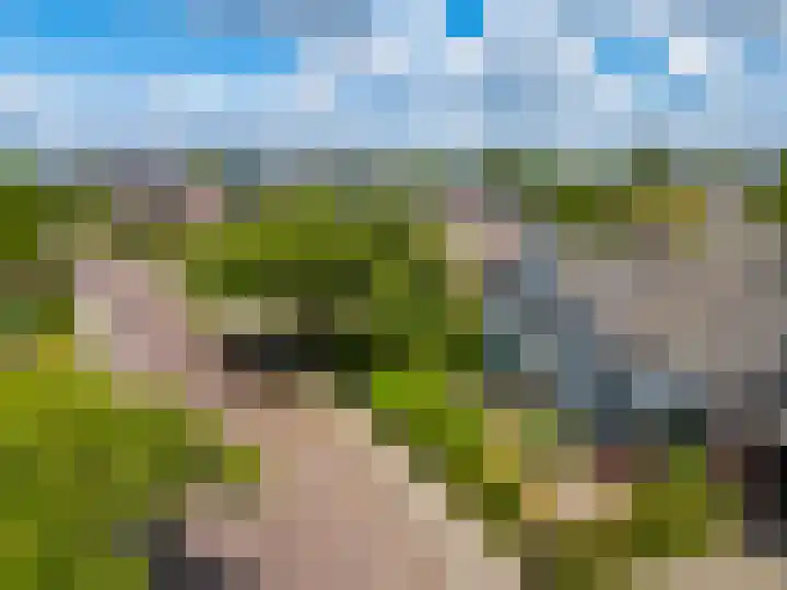Zegerijstraat 2 Brummen thumbnail 26