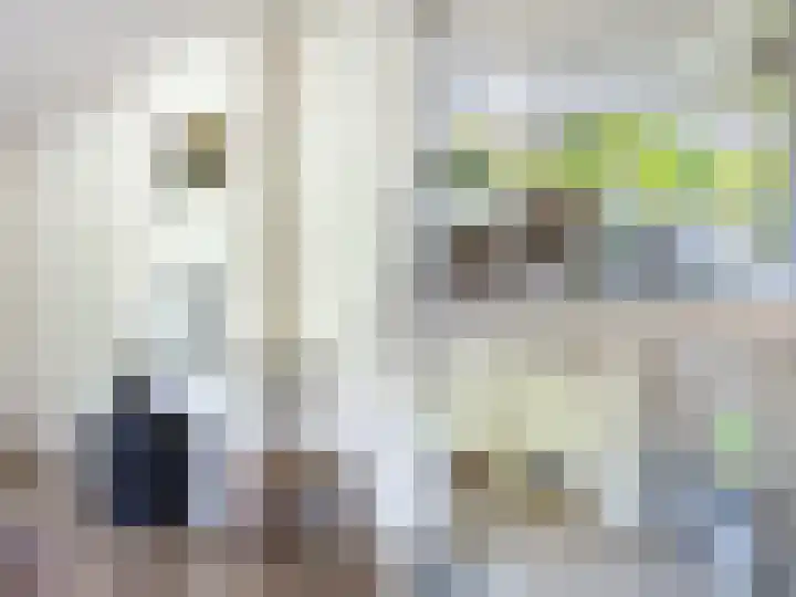 Zegerijstraat 2 Brummen thumbnail 8
