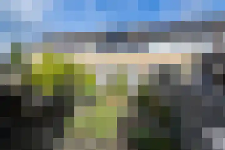 Zegge 40 Kampen thumbnail 32