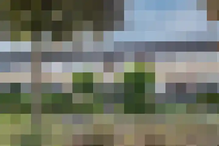 Zegge 40 Kampen thumbnail 33