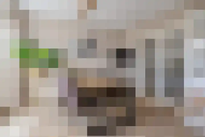 Zeggeven 20 Enschede thumbnail 18